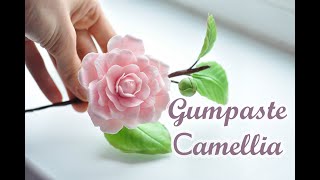 Gumpaste Camellia Tutorial.Камелия из мастики. Sugar Flowers. Fondant Flowers.