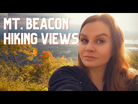 Video: Något Stort Och Tvåbent Jagade Hjortar På Mount Beacon I New York State - Alternativ Vy