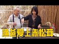 渔爸爱上了赤松茸，渔妹做一汤一菜，把渔爸馋哭了【阿渔妹】