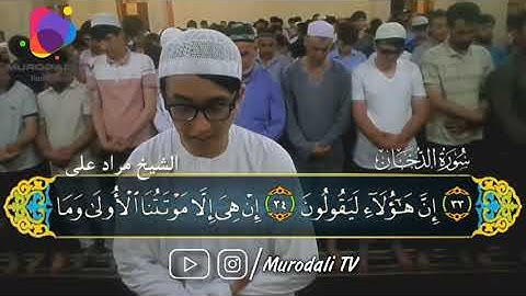 Қори Муродалӣ сураи Духон / القارئ مراد على سورة الدخان