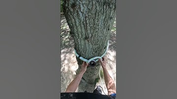 Timber hitch #knot #skills #climbing #diy #arb #rescue #logging #camping #timber
