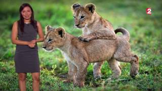 La Meteo Danais Baydemir Le 2017 04 25 Soir Sur France 2