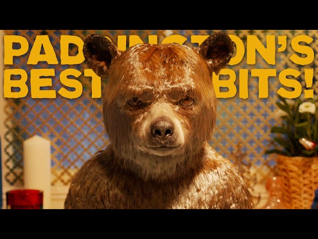 Paddington - Present Simple 3rd Person Singular