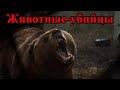 ТОП10 фильмов про животных-убийц (Часть 3)