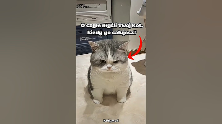 O czym myśli Twój kot, kiedy go całujesz?😻🐈