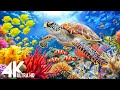 Amazing 4K Ocean Adventure 🐳 Dive Deep and Marvel at Sea Animal in The Best 4K ULTRA HD Aquarium