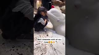 🐬🥰❤Cute Dolphin🐬🥰 kissing girl on forehead | #shorts #youtubeshorts #dolphin #cute
