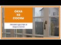 Окна из сосны, преимущества и недостатки.