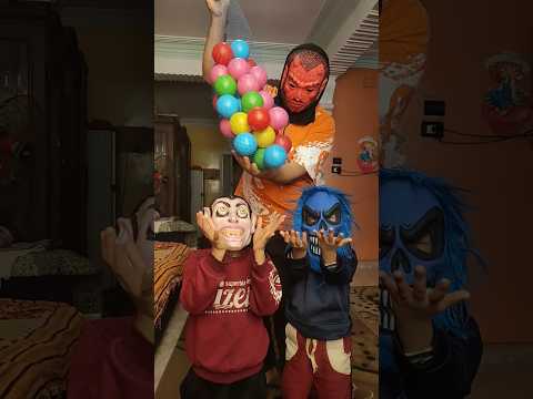 الكلب اللولو هو هو