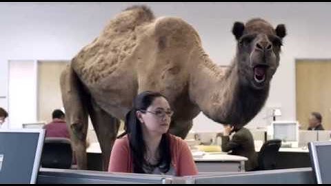 Geico - Hump Day REMIX Guess What Day It Is Camel (FINAL) Happier than a Camel o
