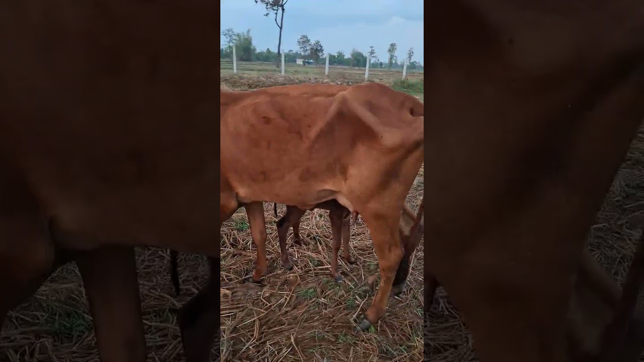 4 มีนาคม ค.ศ. 2026