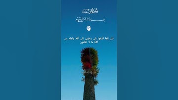 قال إنما أشكو بثي وحزني إلى الله #تلاوة هادئة #قرآن #راحة نفسية#quran