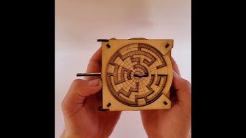 Mouse Maze puzzle box