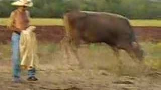 los hombres valientes de tierra caliente