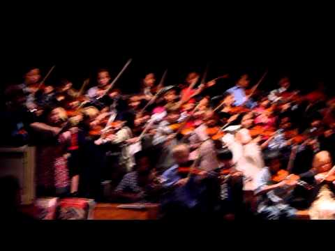 Violin concert - Doggy Doggy Scrub Scrub