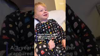 Touching moment toddler grieves his dog #Shorts