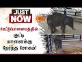 மேட்டுப்பாளையத்தில் குட்டி யானைக்கு நேர்ந்த சோகம்! | Elephant | Mettupalayam | Sun News