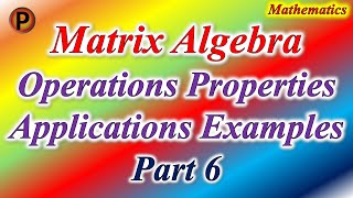 12M0306 IN HINDI Matrices in Mathematics Calculation Matrix आव्यूह  Part 6 ✅