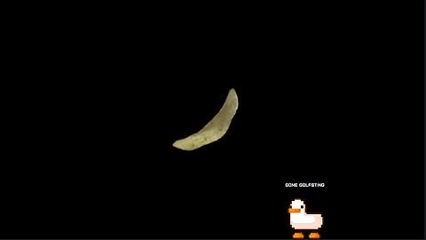 chip (stream avatars test)