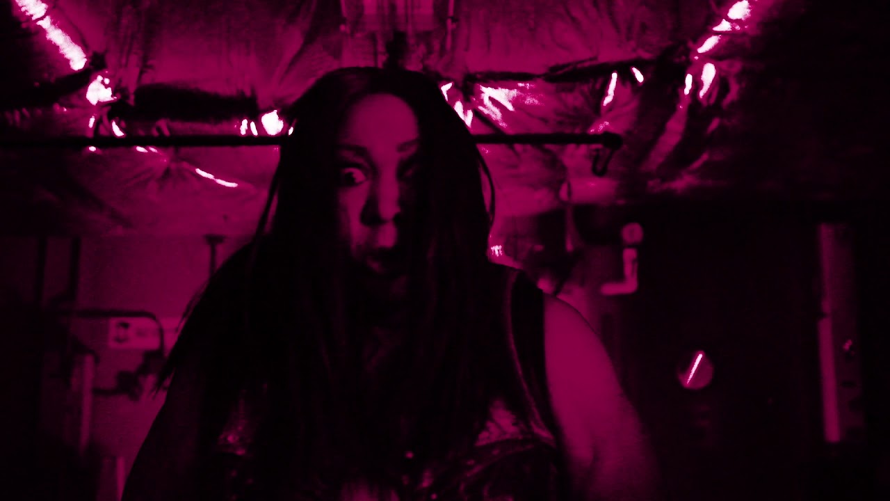 Official Aew Entrance Theme Awesome Kong Images, Photos, Reviews