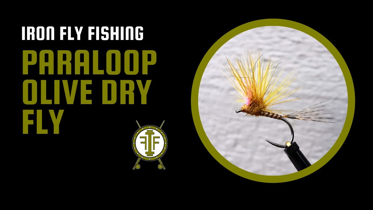 Paraloop Olive Dry Fly | Iron Fly Fishing