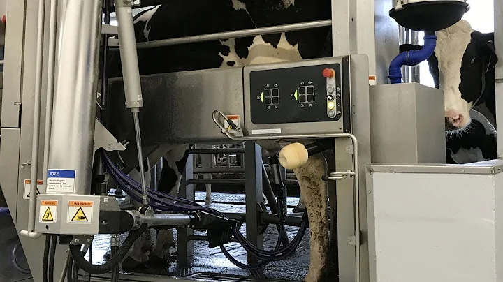Robotic Milking at the LeMaster Dairy Farm