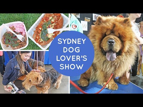 Video: Dogs Disandera Dalam Drama Perniagaan Sydney