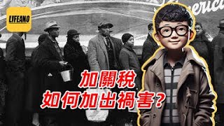 袁Sir聊斯姆特霍利法案:二战的导火索 #lifeano漫聊 250412