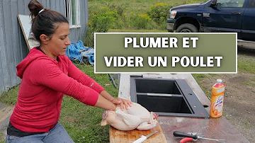 Comment vider une volaille ?