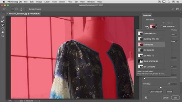 Fine tune a selection | Make selections 3 | Photoshop