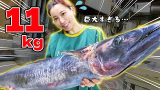 【巨大魚】鋭く尖る口先のお魚を約5分で絶品中華風に！