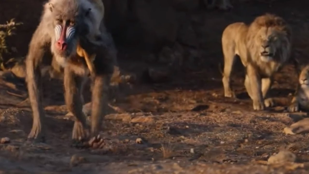 The Lion King The Circle of Life movie - YouTube