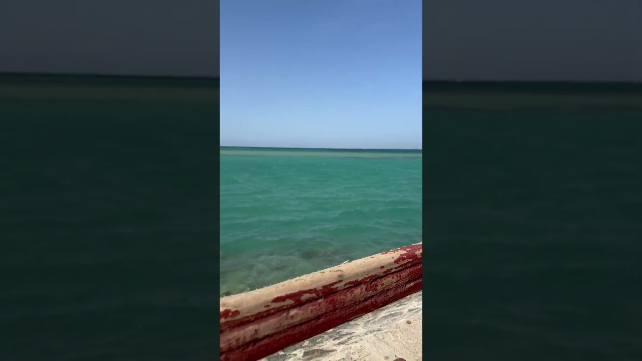 الحمد الله. علي كل حال 🦋🦋🩵