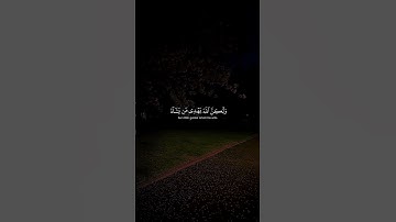 إنك لا تهدي من أحببت ولكن الله يهدي من يشاء/#قران_كريم #القارئ_ياسر_الدوسري #راحة_نفسية ❤🥺