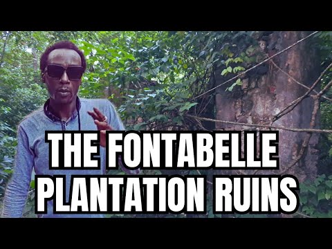 The Lost History of the Fontabelle Plantation and Great House Ruins (Episode 2 Series 2)
