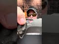 SOG KIKU XR Blackout Folding Knife
