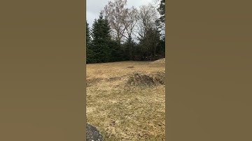 Arrma Kraton EXB - oops - very bad landing #shorts