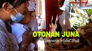 OTONAN JUNA ~ Upacara Adat Bali