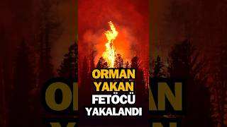 Orman Yangını Son Dakika
