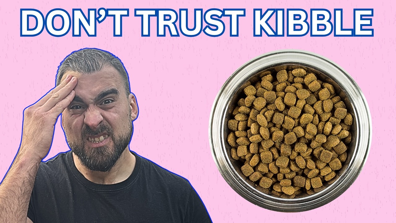Why Your Dog's Food IS DEFICIENT (Even the Vet-Approved Ones)