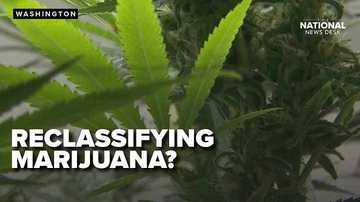 Trump may be open to reclassifying Marijuana