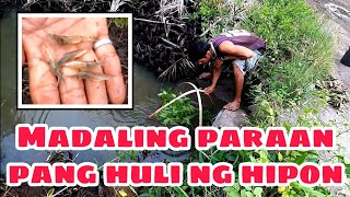 Madaling paraan kung paano manghuli ng hipon na mabisang pamain sa bisugo gamit  bintol shrimp trap