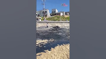 Họp "nóng" xử lý vụ xả nước thải đen ngòm ra bãi biển du lịch #tintuc #tinnong #tintuc24h