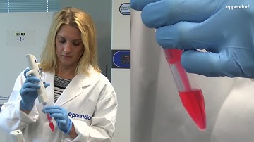 Eppendorf - LabTeamet - Multipette® M4