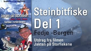 Steinbitfiske 1: Jakten På Storfisken, Steinbitfiske ved Fedje utenfor Bergen, Sportfishing Norway