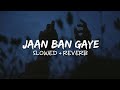 Jaan Ban Gaye (Perfectly Slowed) | Relaxing Chill Version ✨