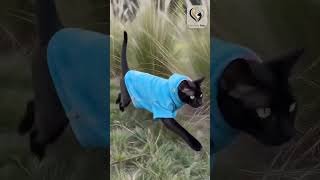 Soft cotton tie-dye hooded sweater for cats & small dogs — cozy fit for cool days. Available in r...