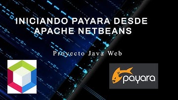 Iniciar y configurar Payara desde Netbeans- actualizado 2021