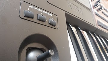 Làm Sample 2 Lớp Và Cách Gán Tính Năng Nút Assignable KORG PA