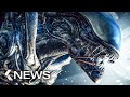 Alien: Covenant 2, The Witcher Staffel 2, Spider-Man: A New Universe 2... KinoCheck News